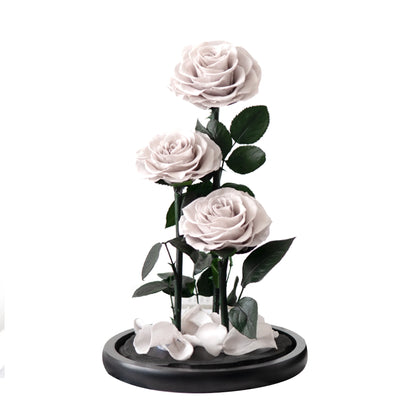 Trio der ewigen Rosen „Unendliche Liebe“