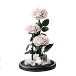 Trio de Roses Éternelles "Amour Infini"