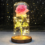 Rose Enchantée Lumineuse sous Cloche