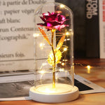 Rose Enchantée Lumineuse sous Cloche