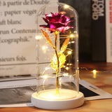 Rose Enchantée Lumineuse sous Cloche