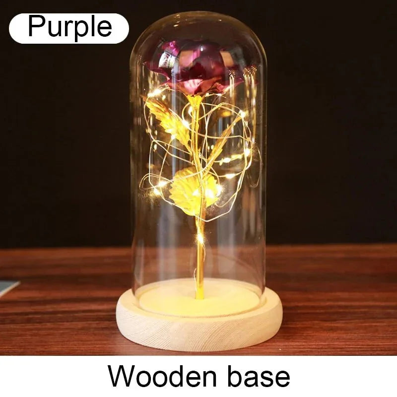 Rose Éternelle "Galaxie" sous Cloche Lumineuse - Rose Eternelle La Boutique
