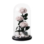 Trio de Roses Éternelles "Amour Infini"