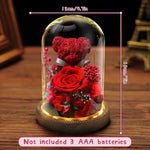 Coffret Cadeau Lumineux | Rose Éternelle & Ourson