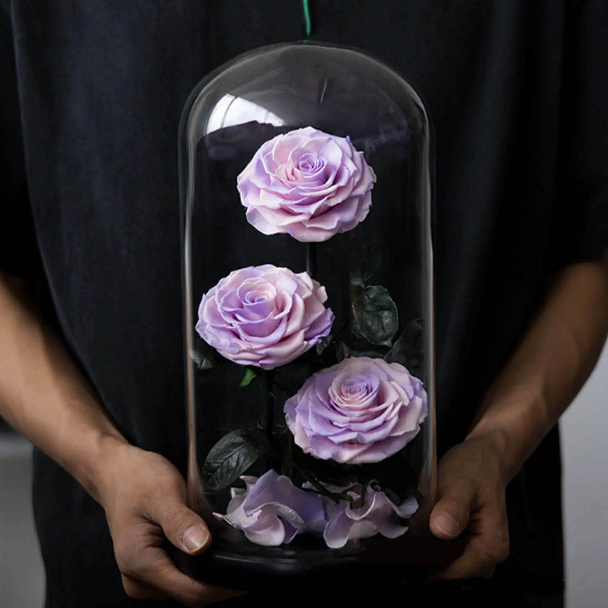 Trio de Roses Éternelles "Amour Infini" - Rose Eternelle La Boutique