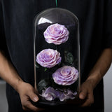 Trio de Roses Éternelles "Amour Infini"