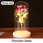 Rose Éternelle "Galaxie" sous Cloche Lumineuse