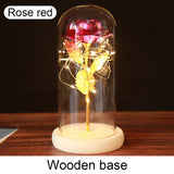 Rose Éternelle "Galaxie" sous Cloche Lumineuse