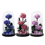 Trio de Roses Éternelles "Amour Infini"