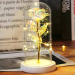 Rose Enchantée Lumineuse sous Cloche