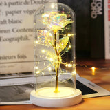 Rose Enchantée Lumineuse sous Cloche