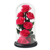 Composition de 6 Roses Éternelles sous Dôme
