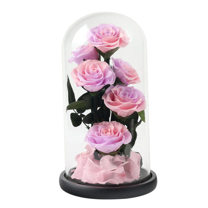 Composition de 6 Roses Éternelles sous Dôme