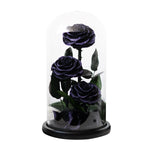 Trio de Roses Éternelles "Amour Infini"
