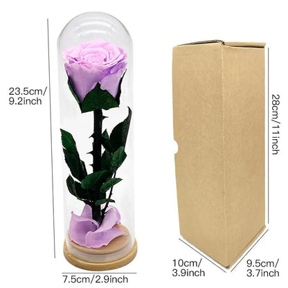 Floral Arrangement "Celebration" - Eternal Roses