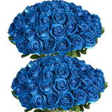 Lot de 50 Roses Velours "Real Touch"