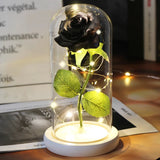 Rose Enchantée Lumineuse sous Cloche