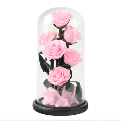 Composition de 6 Roses Éternelles sous Dôme
