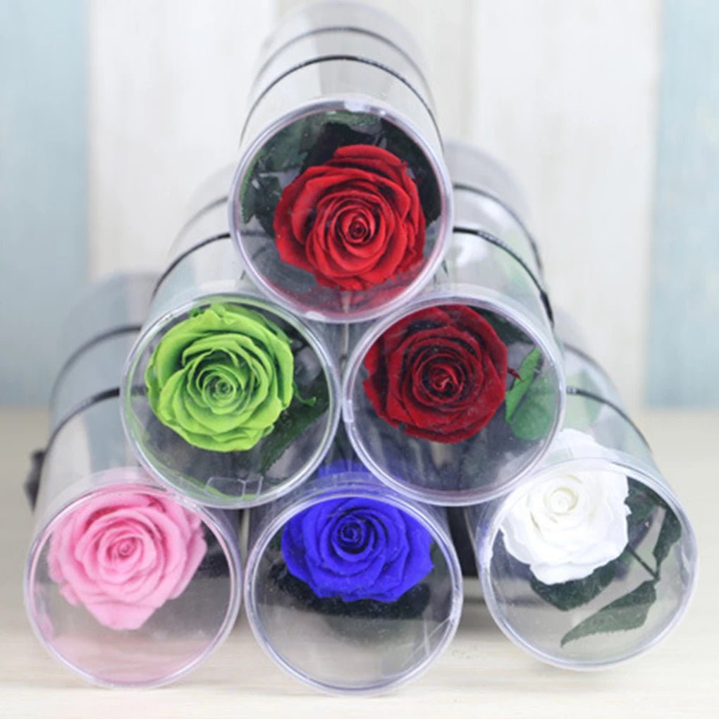 Einzigartige natürliche Rose am langen Stiel