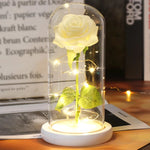 Rose Enchantée Lumineuse sous Cloche