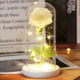 Rose Enchantée Lumineuse sous Cloche