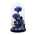 Trio de Roses Éternelles "Amour Infini"