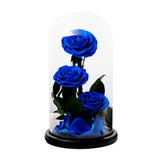 Trio de Roses Éternelles "Amour Infini"