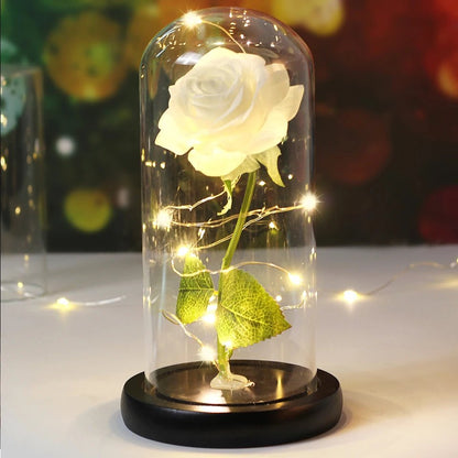 Ewige Rose unter Glaskuppel & LED (Farbauswahl)