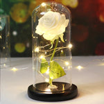 Rose Enchantée Lumineuse sous Cloche