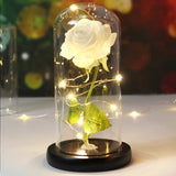 Rose Enchantée Lumineuse sous Cloche