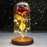 Rose Enchantée Lumineuse sous Cloche