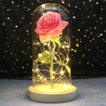 Rose Enchantée Lumineuse sous Cloche
