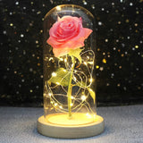 Rose Enchantée Lumineuse sous Cloche