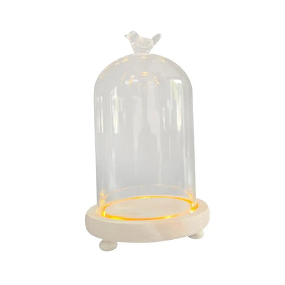 Elegante Glaskuppel mit Holzsockel