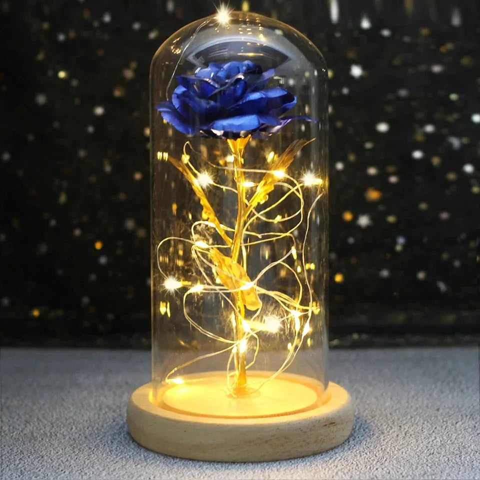 Rose Eternelle Sous Cloche & LED (Choix De Couleurs) - Rose Eternelle La Boutique