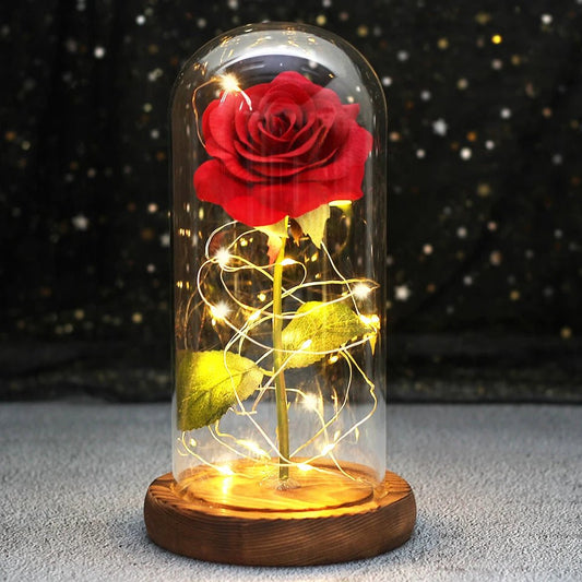 Rose Eternelle Sous Cloche & LED  (Choix De Couleurs)
