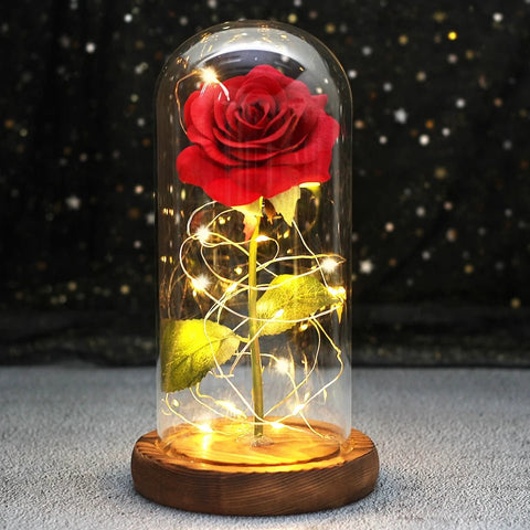 Rose Enchantée Lumineuse sous Cloche