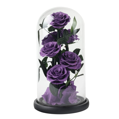 Composition de 6 Roses Éternelles sous Dôme