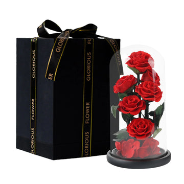 Composition de 6 Roses Éternelles sous Dôme - Rose Eternelle La Boutique