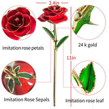 Coffret Rose Éternelle Plaquée Or 24K