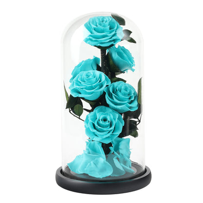 Composition de 6 Roses Éternelles sous Dôme