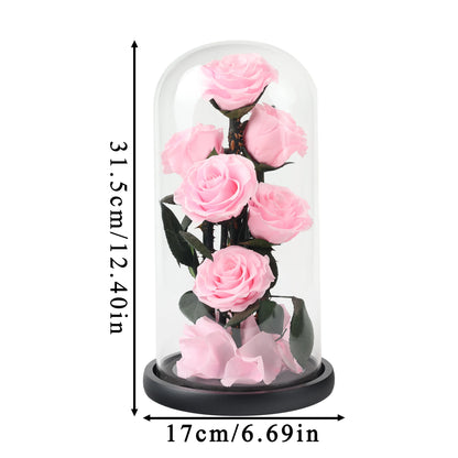 Composition de 6 Roses Éternelles sous Dôme