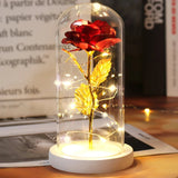 Rose Enchantée Lumineuse sous Cloche