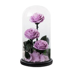 Trio de Roses Éternelles "Amour Infini"