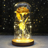 Rose Enchantée Lumineuse sous Cloche