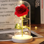 Rose Enchantée Lumineuse sous Cloche