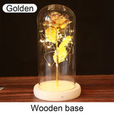 Rose Éternelle "Galaxie" sous Cloche Lumineuse
