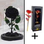 Bundle Pack Rose Eternelle Rouge + Coffret 24k (Choix)