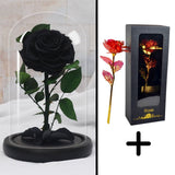 Bundle Pack Rose Eternelle Rouge + Coffret 24k (Choix)