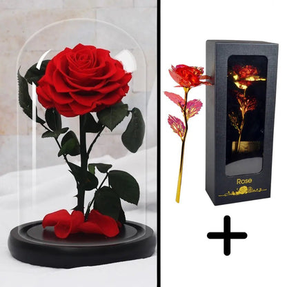 Eternal Red Rose Bundle Pack + 24k Gift Box (Choice)